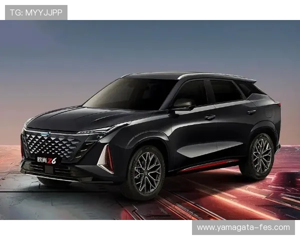 Z6就是博：全面解析Z6的核心优势与独特魅力