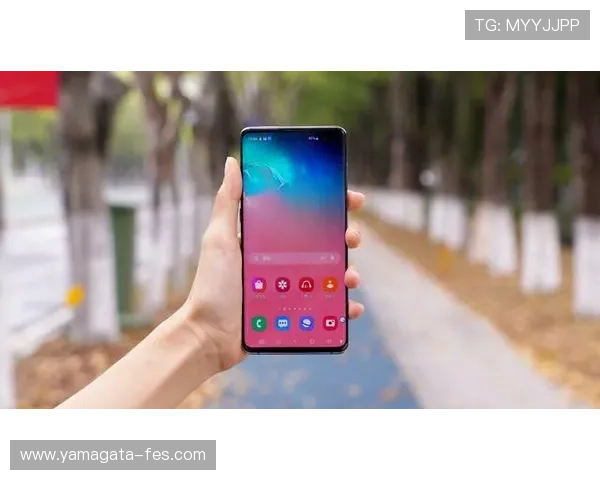 凯时手机登录最新安全策略解读保障用户账号安全与隐私保护
