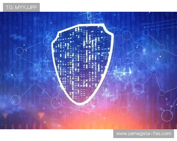 尊龙网址登录官网安全保障措施与用户隐私保护政策解析