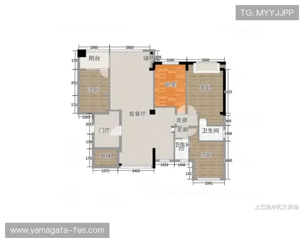 深度解析尊龙会体育官网的各类服务与功能
